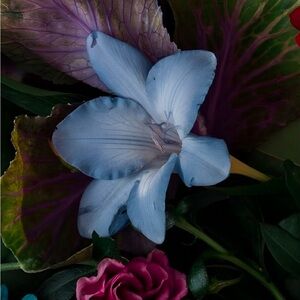 Meet your Posher, Patrice